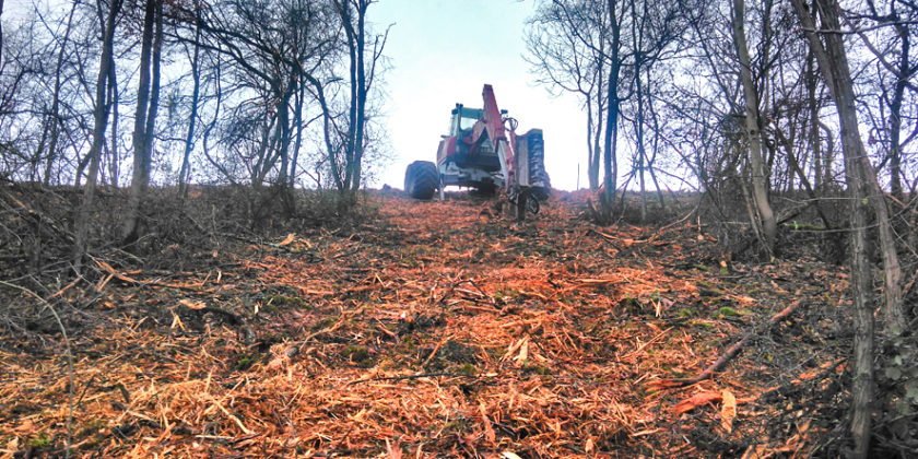 Broyage forestier en pente