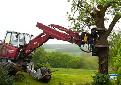 Abattage d'arbres au grappin-coupeur