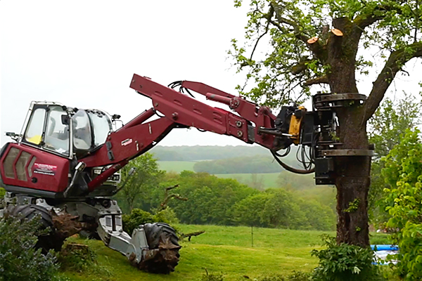 Abattage d’arbres <br>au grappin-coupeur