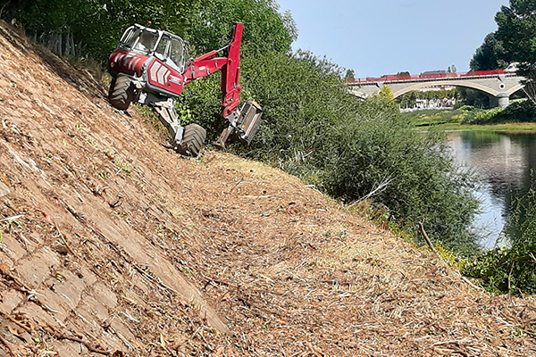 Débroussaillage en pente en bord de rivière